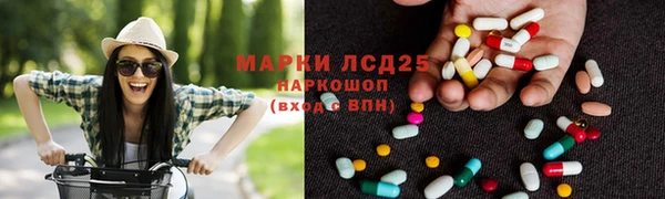 ГАЛЛЮЦИНОГЕННЫЕ ГРИБЫ Дмитров