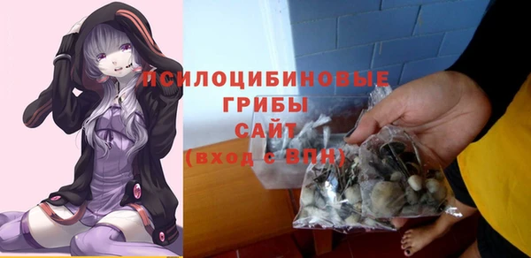 круглые Дмитриев