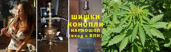 mdpv Елизово