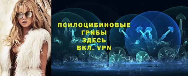 круглые Дмитриев