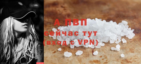 mdpv Елизово