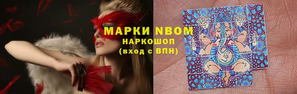 ГАЛЛЮЦИНОГЕННЫЕ ГРИБЫ Дмитров