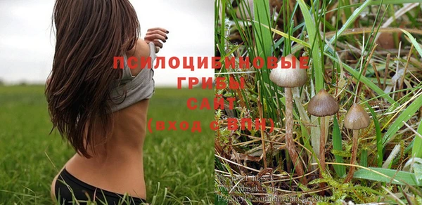 mdpv Елизово