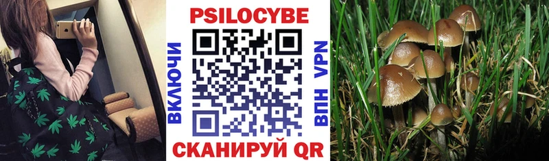 Купить  Белозерск  Псилоцибиновые грибы мухоморы 